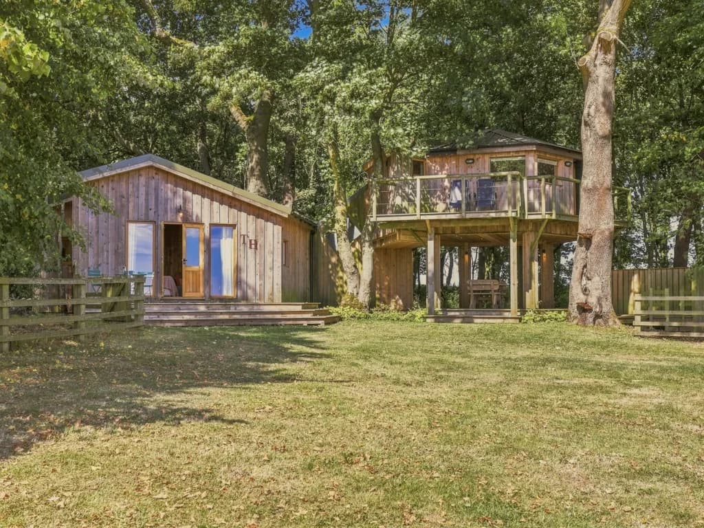 The Tree House